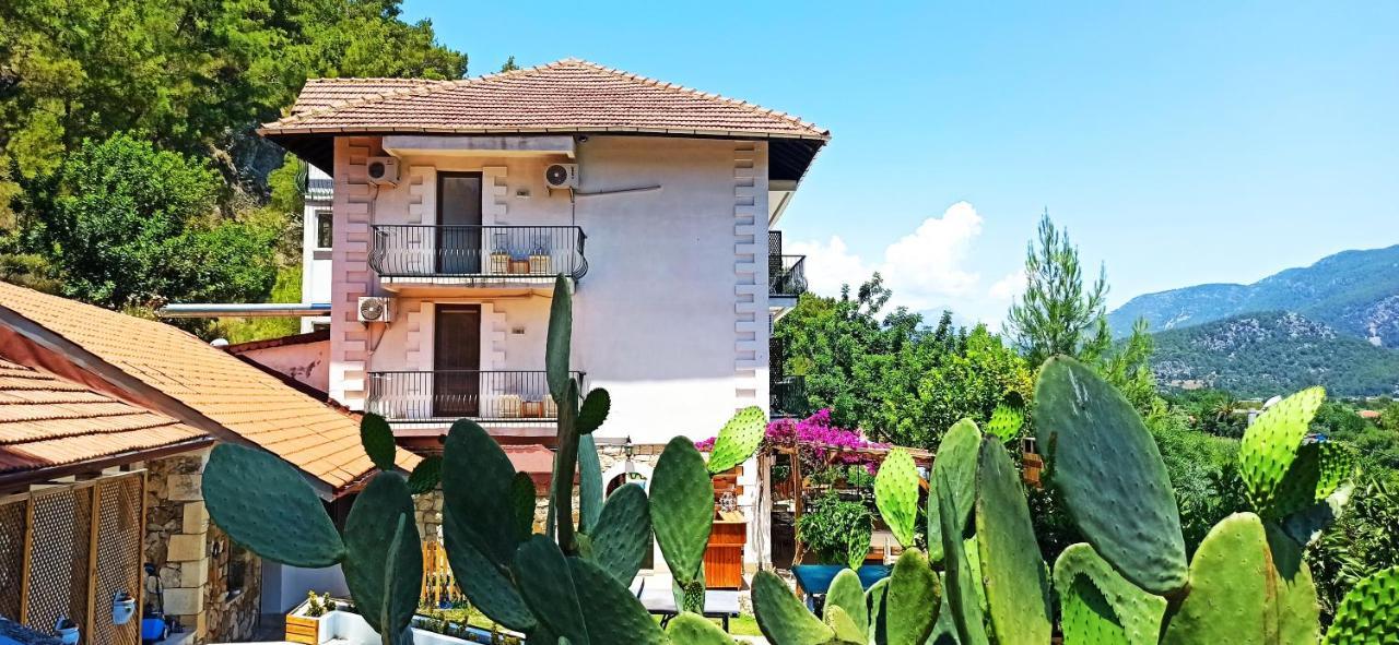 Swiss Eviniz Hotel (Adults Only) Adrasan Buitenkant foto
